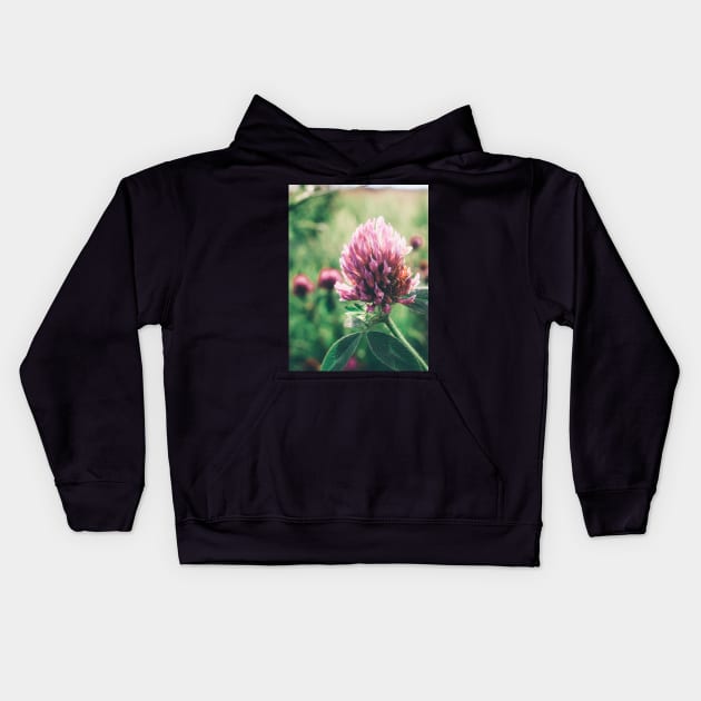 Petals in Sunlight Capture Red Clover's Elegance V3 Kids Hoodie by Family journey with God